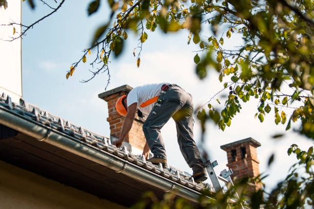 Best Storm Damage Roof Repair  in Charenton, LA